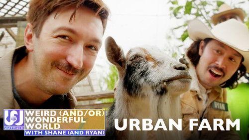 Weird (and/or) Wonderful World with Shane (and Ryan) Season 3 Episode 5 - Shane and Ryan Become Urban Farmers