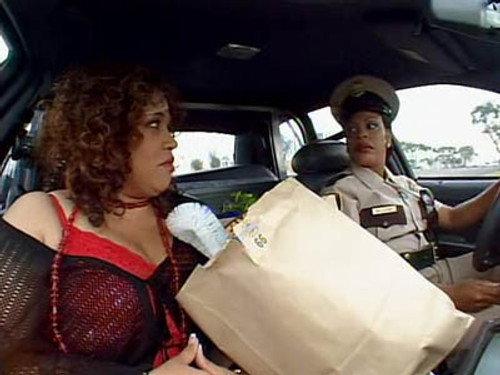 Reno 911! Season 4 Episode 2 - The Junior Brothers