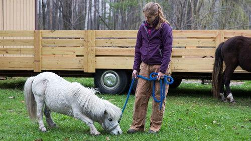 The Incredible Dr. Pol Season 6 Episode 7 - Ruff Day at the Office