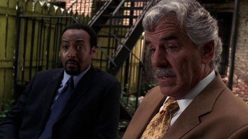 Law & Order Season 15 Episode 4 - Coming Down Hard