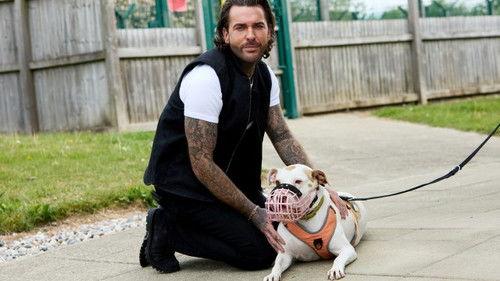 Pete Wicks: For Dogs’ Sake Season 2 Episode 2 - Terri, Esme And The Chi Family