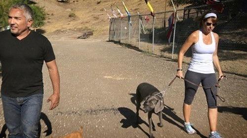 Cesar 911 Season 2 Episode 8 - Twice Bitten