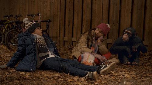 Jane Season 1 Episode 10 - Panthera tigris