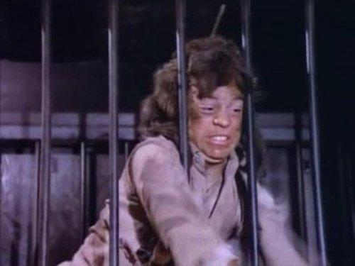 Little House on the Prairie Season 9 Episode 6 - The Wild Boy (1)