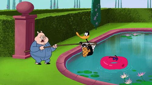 New Looney Tunes Season 2 Episode 38 - Point Duck Percent