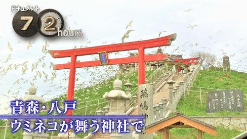 Document 72 Hours Season 14 Episode 19 - Aomori, Hachinohe, at a shrine where a sea lion dances