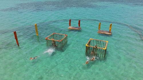 Robinson Season 27 Episode 3 - Episode 3