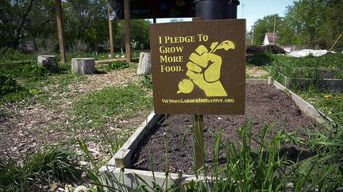 Wisconsin Foodie Season 5 Episode 3 - The Victory Garden Initiative