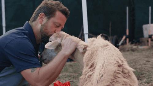 The Wizard of Paws Season 2 Episode 9 - Gaia