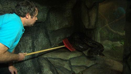 Dyrepasserne Season 3 Episode 6 - Episode 6