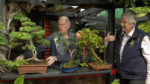 Gardening Australia Season 33 Episode 6 - Episode 6 Edible Garden, Native Plants, Bonsai & Fungi
