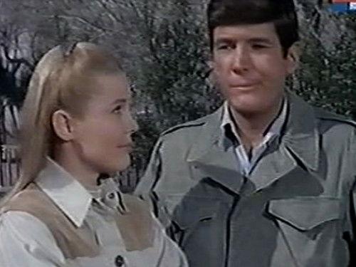 Daktari Season 2 Episode 15 - Little Miss Nightingale