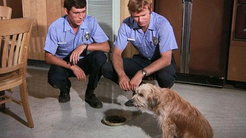 Emergency! Season 2 Episode 7 - Fuzz Lady