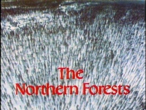 The Living Planet Season 1 Episode 3 - The Northern Forests