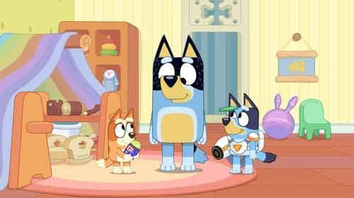 Bluey Season 3 Episode 49 - Surprise!