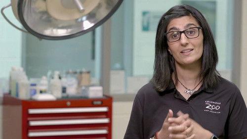 Secrets of the Zoo Season 4 Episode 5 - Tiger Queen