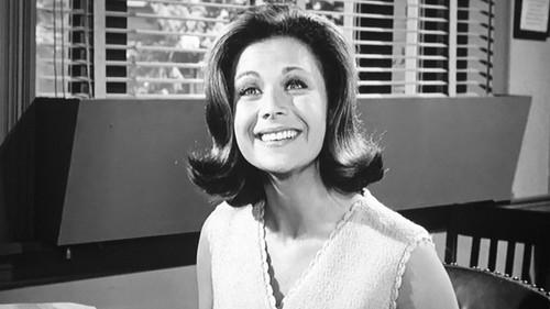 The Andy Griffith Show Season 5 Episode 24 - Guest in the House