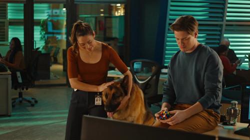 Hudson & Rex Season 7 Episode 8 - Hot Prowl in the City