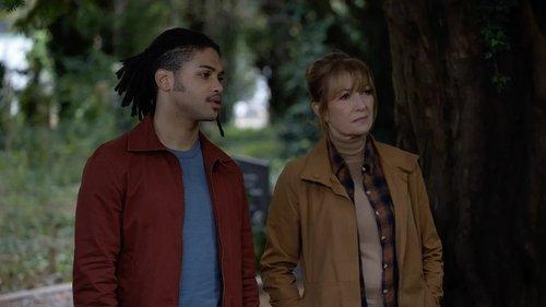 Harry Wild Season 4 Episode 6 - The Final Chapter