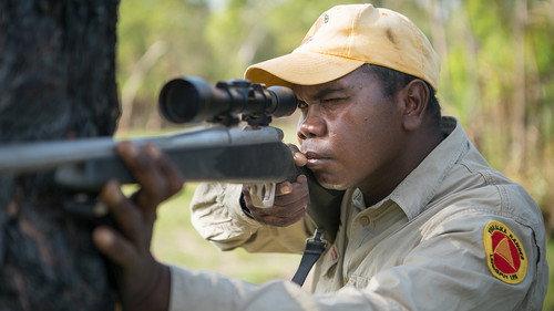 Hello Stranger Season 1 Episode 9 - Firearms and Ferals