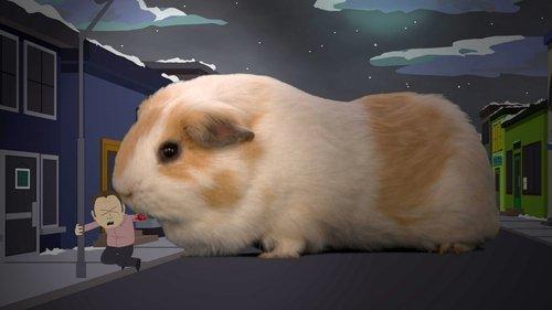 South Park Season 12 Episode 11 - Pandemic 2: The Startling