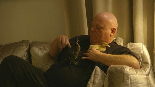 Familie Gillis: Massa is Kassa Season 5 Episode 5 - Episode 5