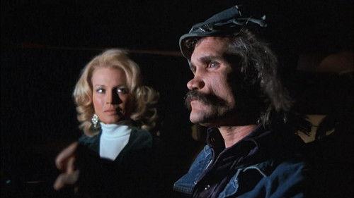 Police Woman Season 1 Episode 22 - The Loner