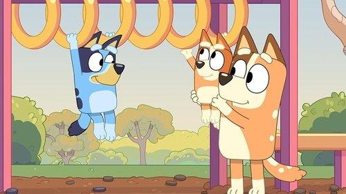 Bluey Season 2 Episode 50 - Baby Race
