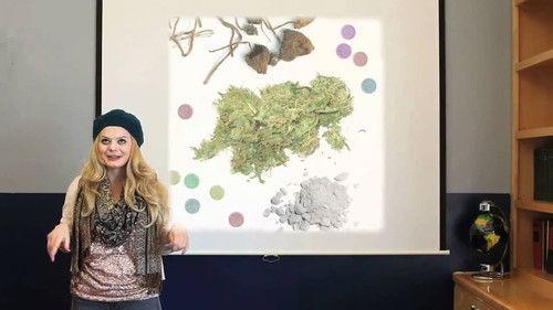 Very Mary-Kate Season 2 Episode 16 - Presentation 2