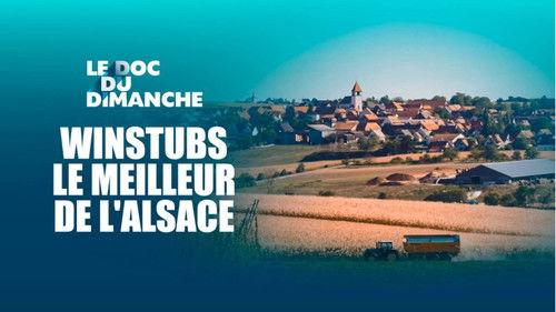 Le Doc du dimanche Season 14 Episode 36 - Episode 36