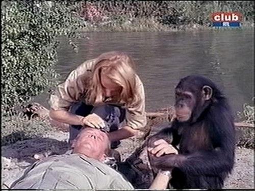 Daktari Season 2 Episode 18 - Undercover Judy