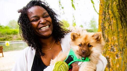 The Dog House Season 5 Episode 2 - Episode 2