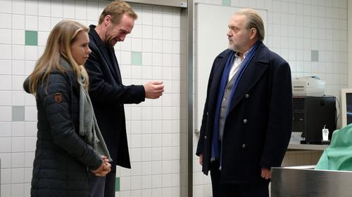 Der Alte Season 46 Episode 8 - Episode 8