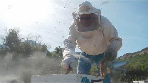 Greek Island Odyssey Season 1 Episode 2 - Birthplace of the Gods