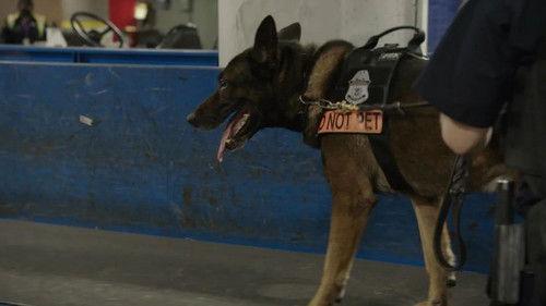 To Catch a Smuggler Season 2 Episode 15 - Meth Lab Takedown