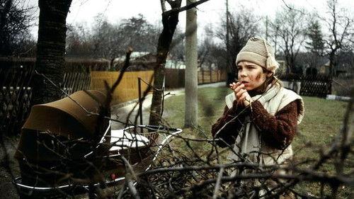 Polizeiruf 110 Season 19 Episode 4 - Gestohlenes Glück