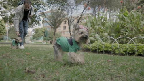Shark Tank Colombia Season 2 Episode 1 - Episode 1