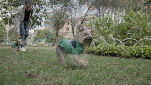 Shark Tank Colombia Season 2 Episode 1 - Episode 1