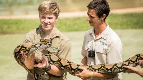 Crikey! It's the Irwins Season 2 Episode 2 - Robert's Python Swim