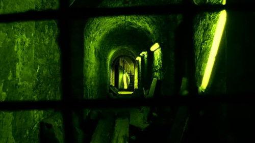 Wire in the Blood Season 6 Episode 5 - From the Defeated (1)