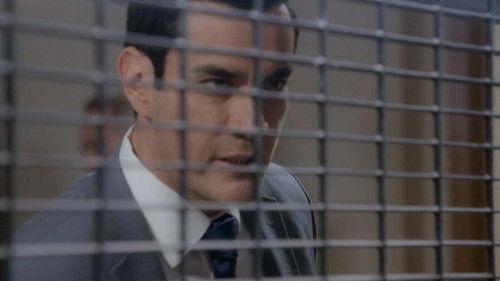 Laws of love Season 2 Episode 91 - Episode 91