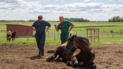 The Incredible Dr. Pol Season 18 Episode 8 - When It Rains, It Purrs