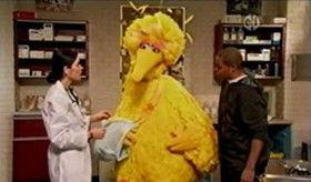 Sesame Street Season 40 Episode 20 - Wing in a Sling