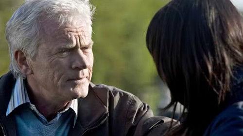 Anna Pihl Season 3 Episode 3 - Hus forbi