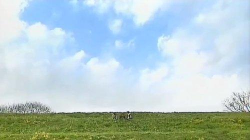 Kamen Rider 555 Season 1 Episode 50 - My Dream