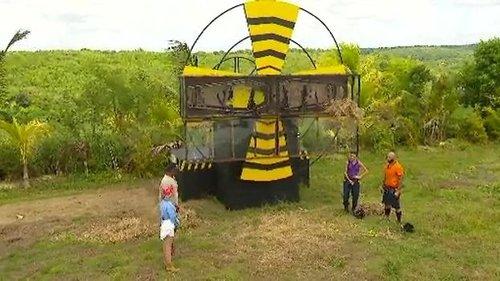 I'm a Celebrity: Get Me Out of Here! Season 2 Episode 11 - Episode 11