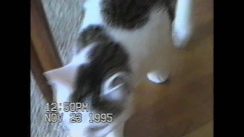 American Monster Season 2 Episode 9 - The Craigslist Killer