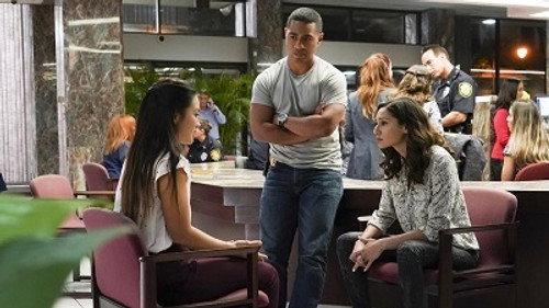Hawaii Five-0 Season 9 Episode 17 - Eʻao luʻau a kualima (Offer Young Taro Leaves To)