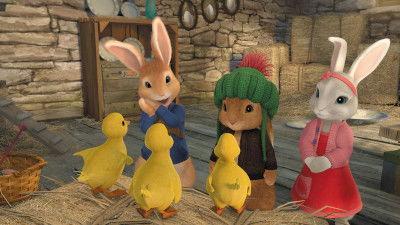 Peter Rabbit Season 2 Episode 19 - The Tale of the Missing Ducklings