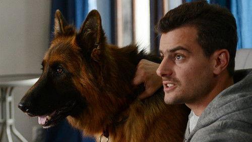 Komisarz Alex Season 4 Episode 13 - Episode 13